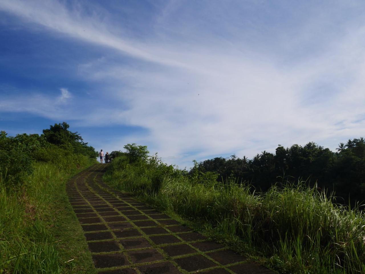 Sari Villa Ubud Zewnętrze zdjęcie