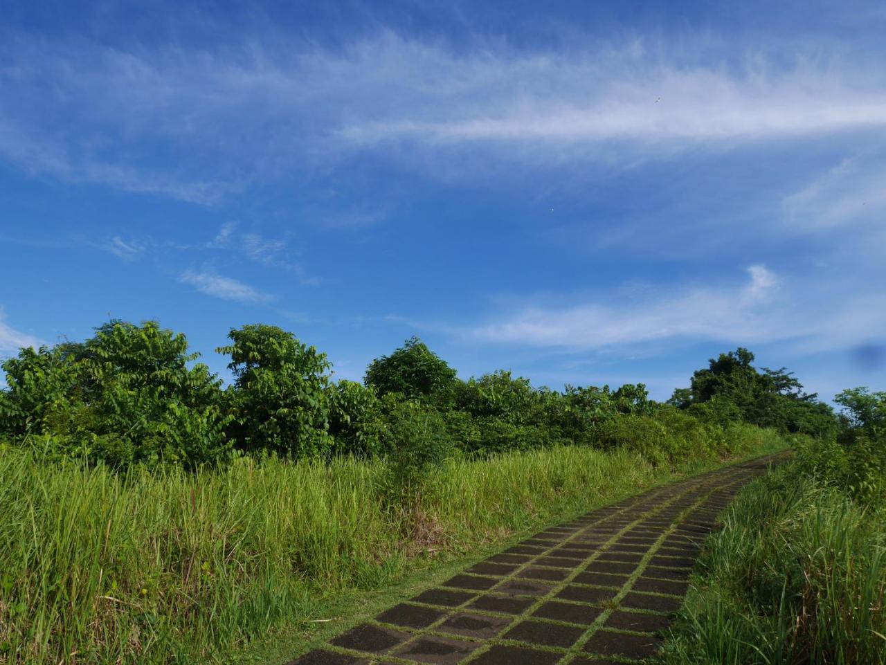 Sari Villa Ubud Zewnętrze zdjęcie
